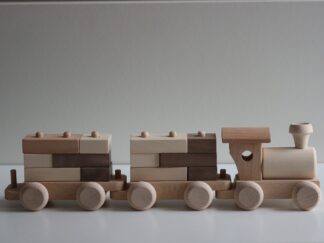 Small Train with Playing Blocks (2570)