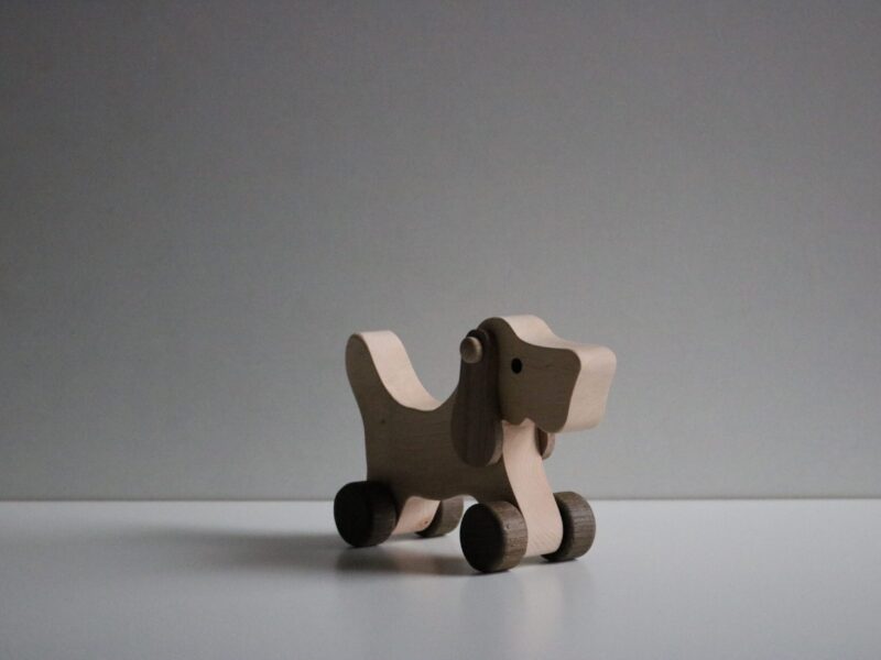 Dog Max on Wheels (2624)