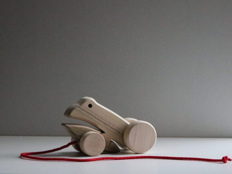 Frog Finn on Wheels (2631)