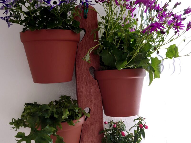 Wooden Flower Hanger + 4 TERRACOTTA POTS -For x4 Flower Pots