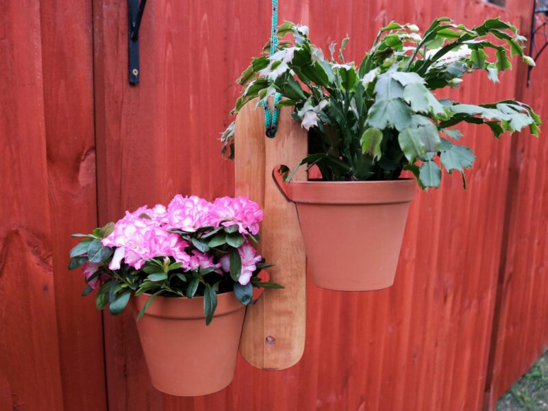 Wooden Flower Hanger +2 TERACOTTA POTS - For x2 LARGE Flower Pots